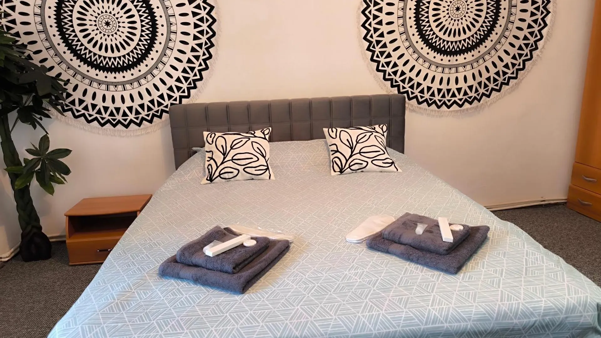 Apartment Old Town Studio - Vintage Bucharest